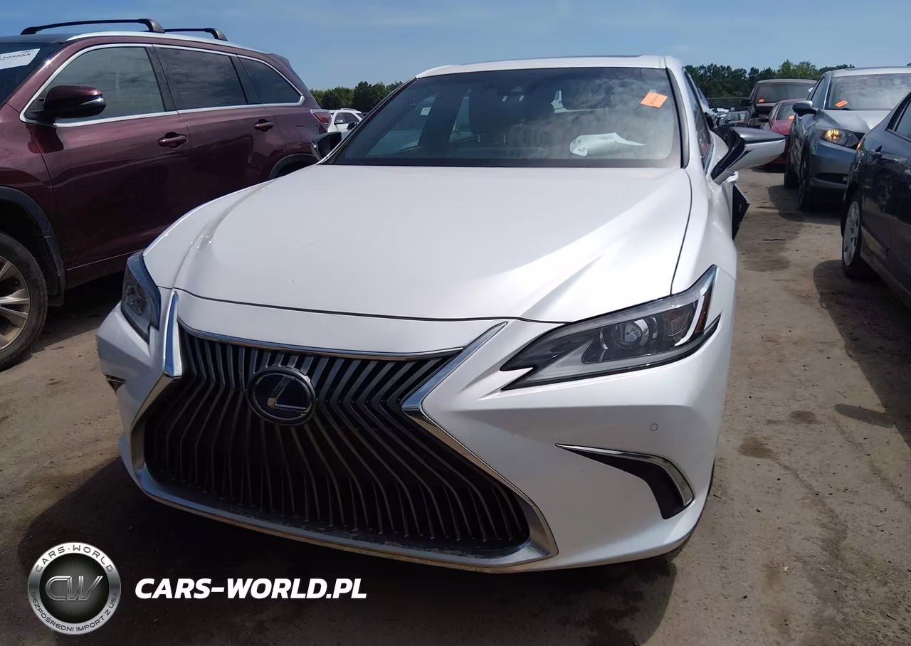 2020 Lexus Es 300H VIN:58AD21B11LU005846 - 12