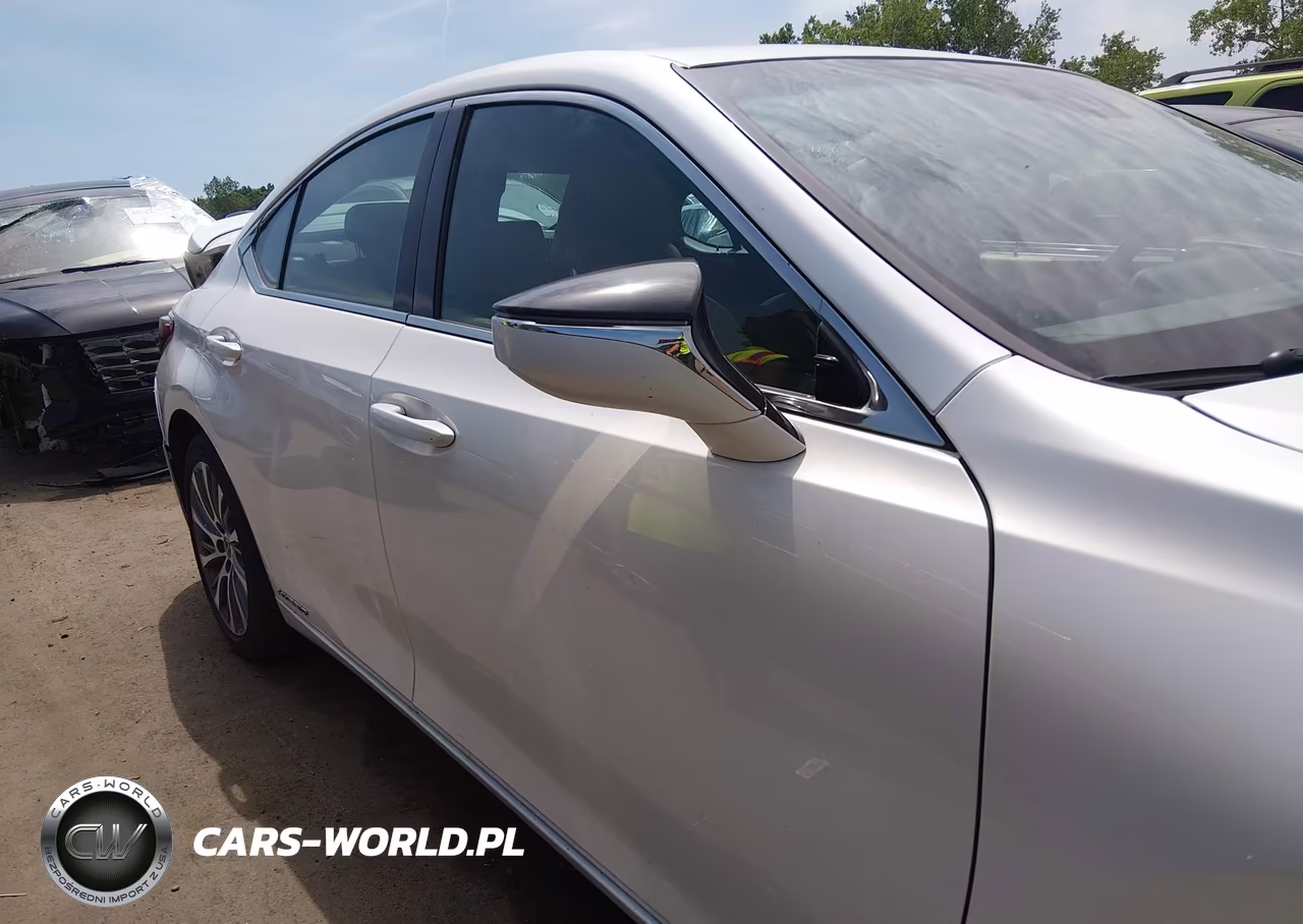 2020 Lexus Es 300H VIN:58AD21B11LU005846 - 13