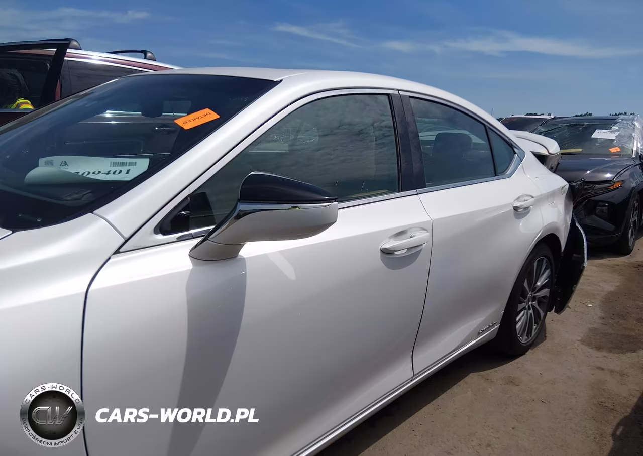 2020 Lexus Es 300H VIN:58AD21B11LU005846 - 14