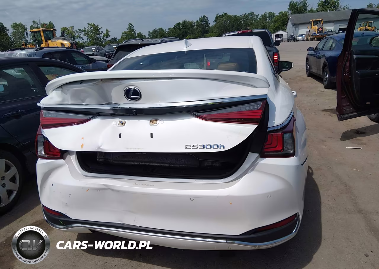 2020 Lexus Es 300H VIN:58AD21B11LU005846 - 16