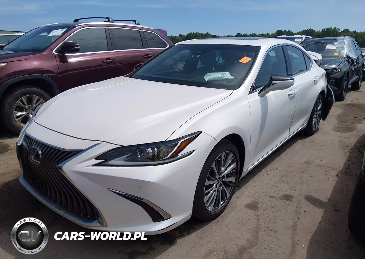 2020 Lexus Es 300H VIN:58AD21B11LU005846 - 2