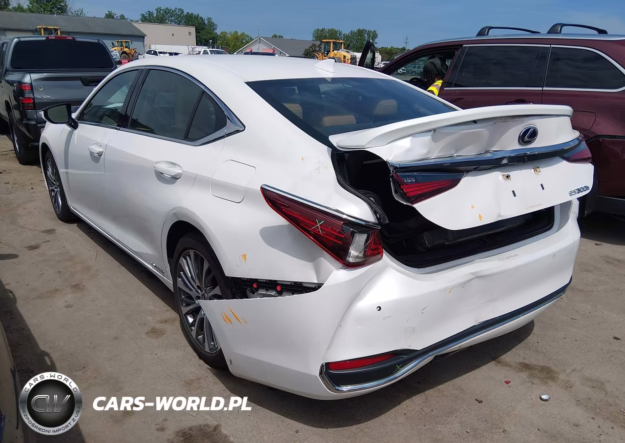 2020 Lexus Es 300H VIN:58AD21B11LU005846 - 3