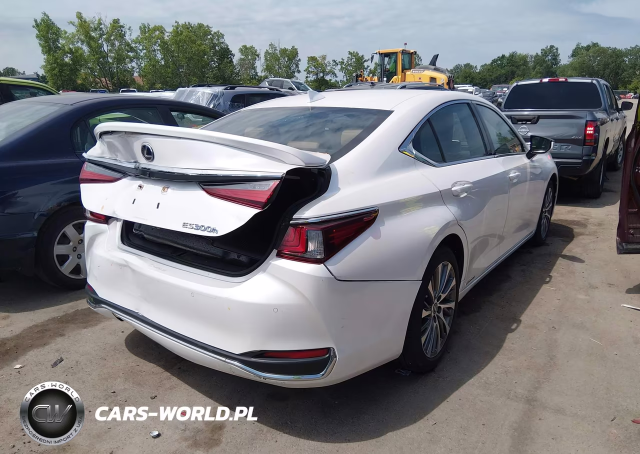 2020 Lexus Es 300H VIN:58AD21B11LU005846 - 4