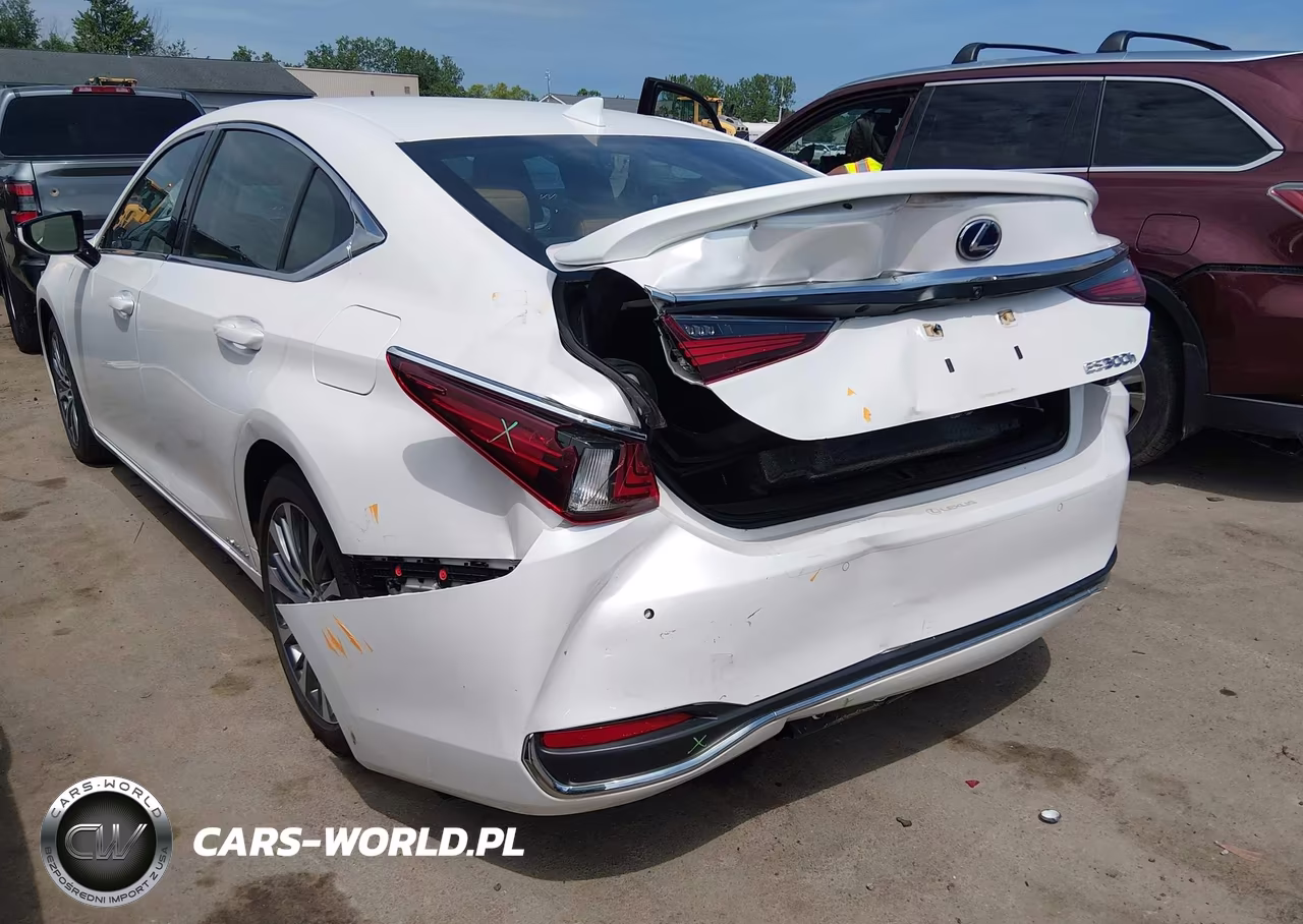 2020 Lexus Es 300H VIN:58AD21B11LU005846 - 6