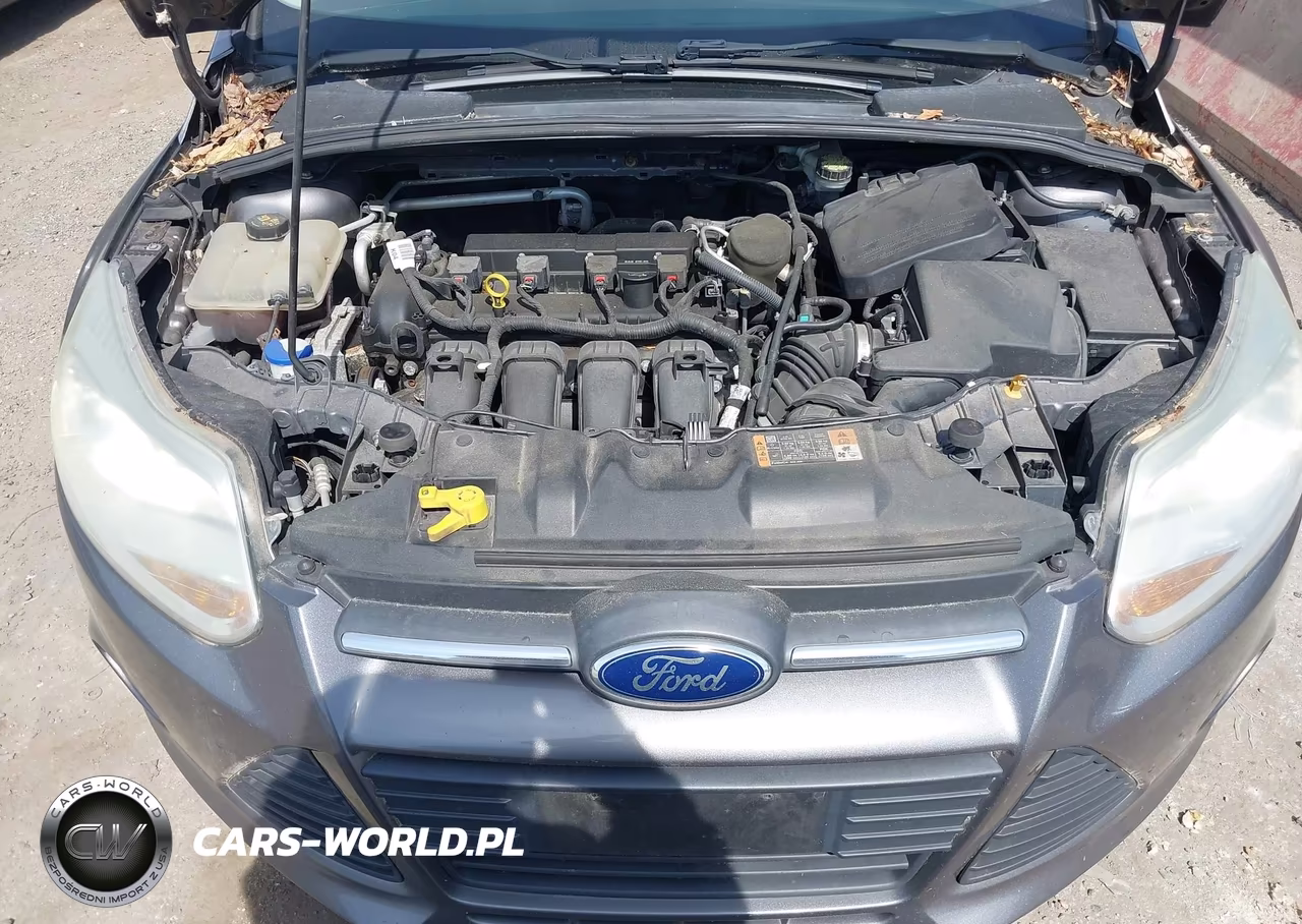 2014 Ford Focus Se VIN:1FADP3K23EL377785 - 10
