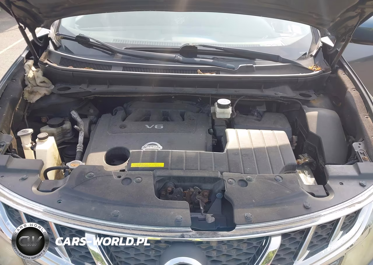 2011 Nissan Murano S VIN:JN8AZ1MW1BW185873 - 10