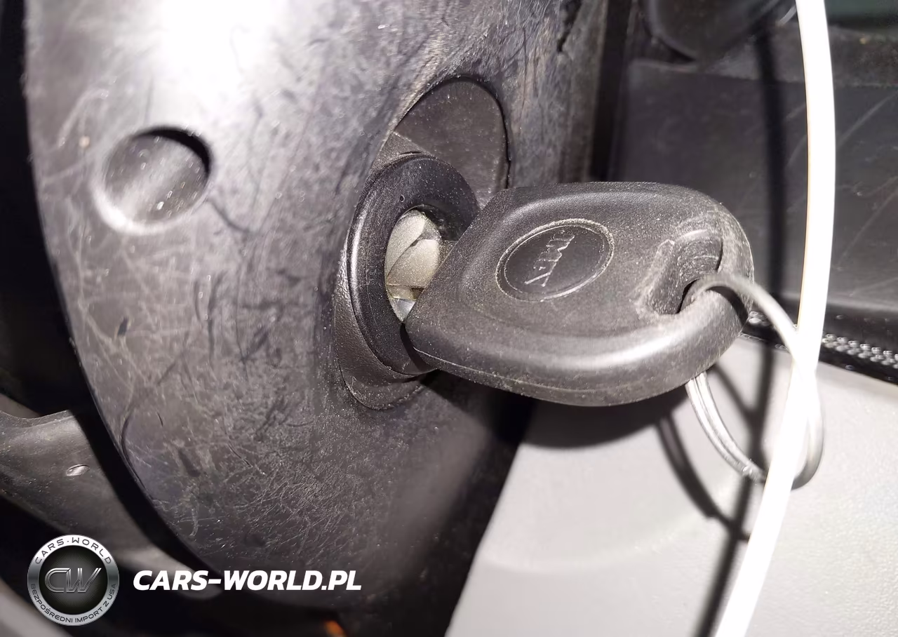 2002 Volkswagen New Beetle Gls VIN:3VWCK21C22M426443 - 11