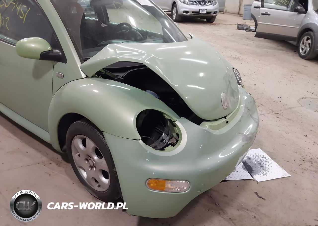 2002 Volkswagen New Beetle Gls VIN:3VWCK21C22M426443 - 13