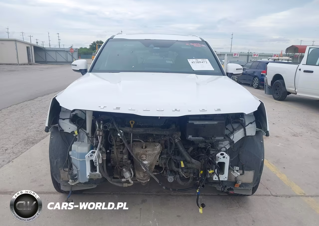 2020 Kia Telluride Sx VIN:5XYP54HC1LG042729 - 13