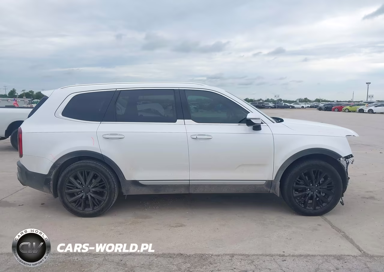 2020 Kia Telluride Sx VIN:5XYP54HC1LG042729 - 14