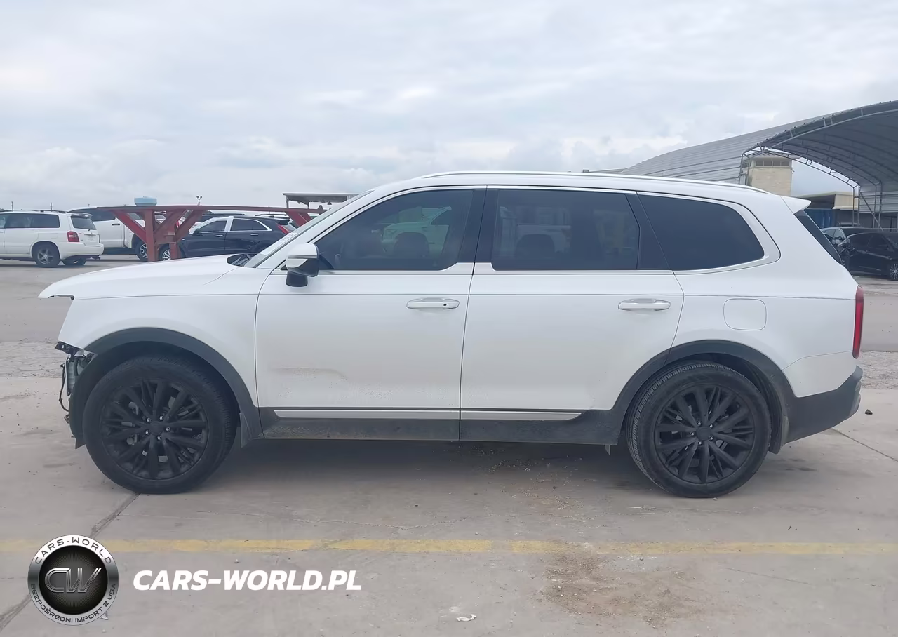 2020 Kia Telluride Sx VIN:5XYP54HC1LG042729 - 15
