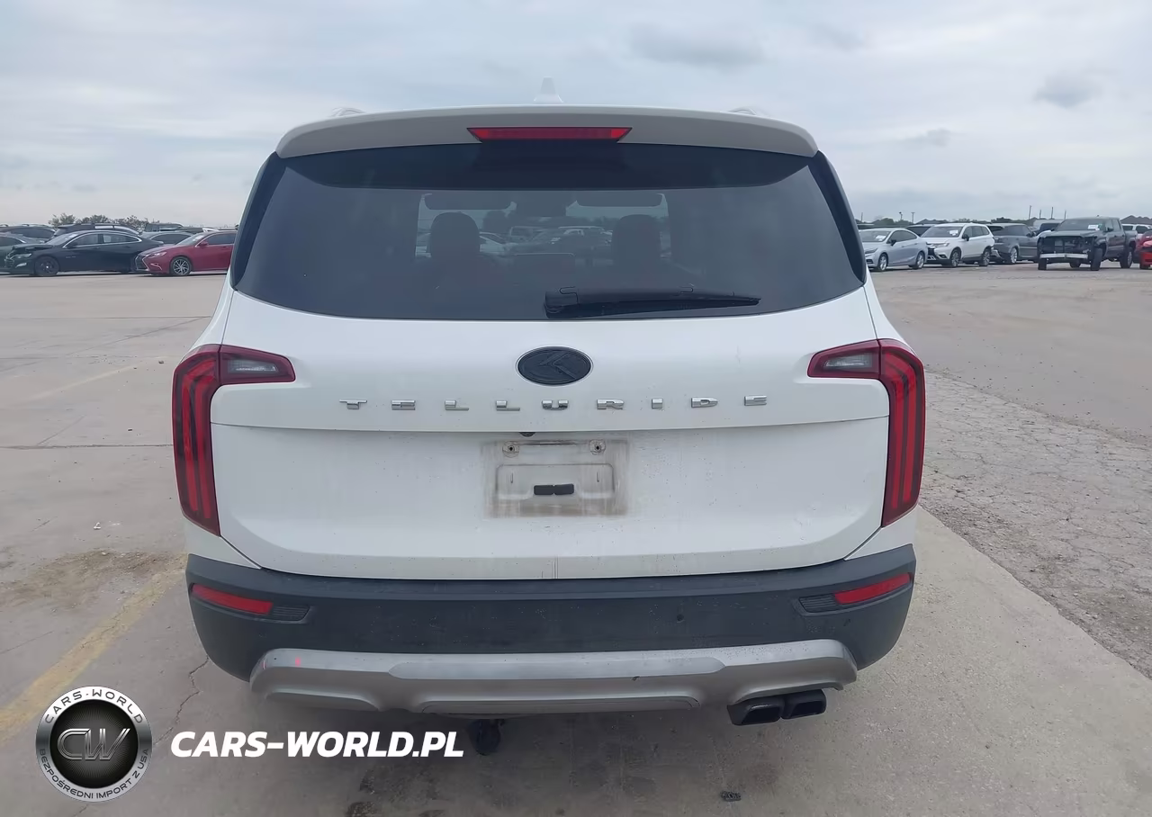 2020 Kia Telluride Sx VIN:5XYP54HC1LG042729 - 17