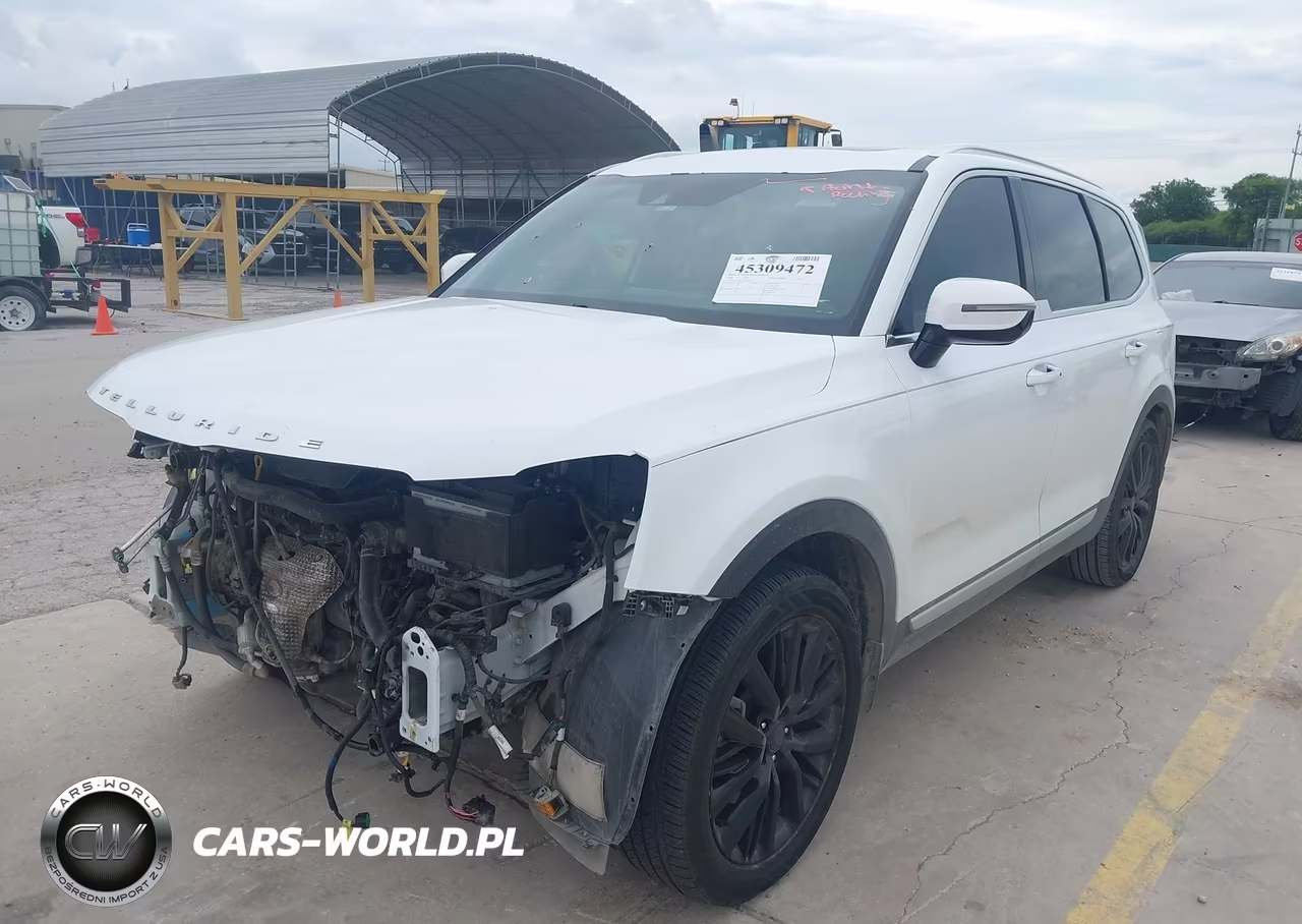 2020 Kia Telluride Sx VIN:5XYP54HC1LG042729 - 2