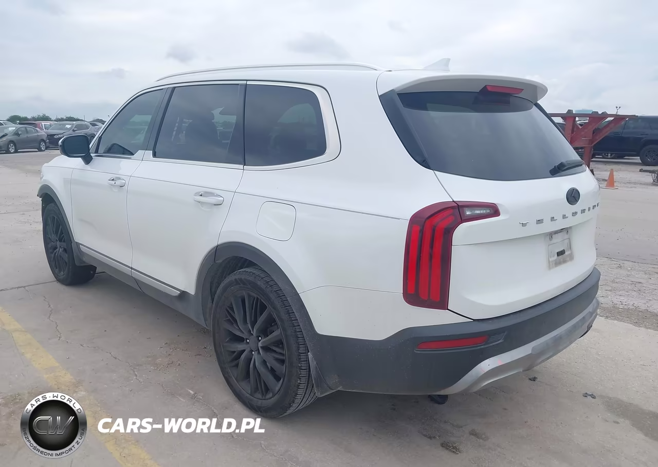 2020 Kia Telluride Sx VIN:5XYP54HC1LG042729 - 3