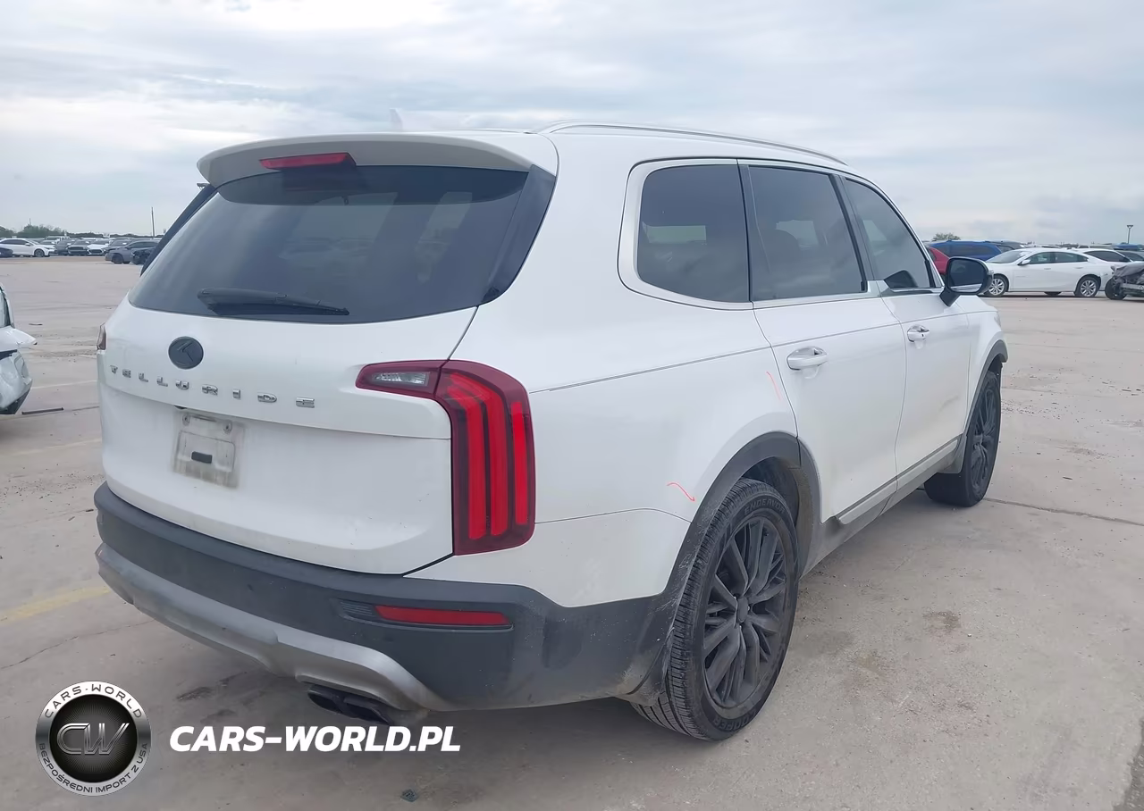 2020 Kia Telluride Sx VIN:5XYP54HC1LG042729 - 4