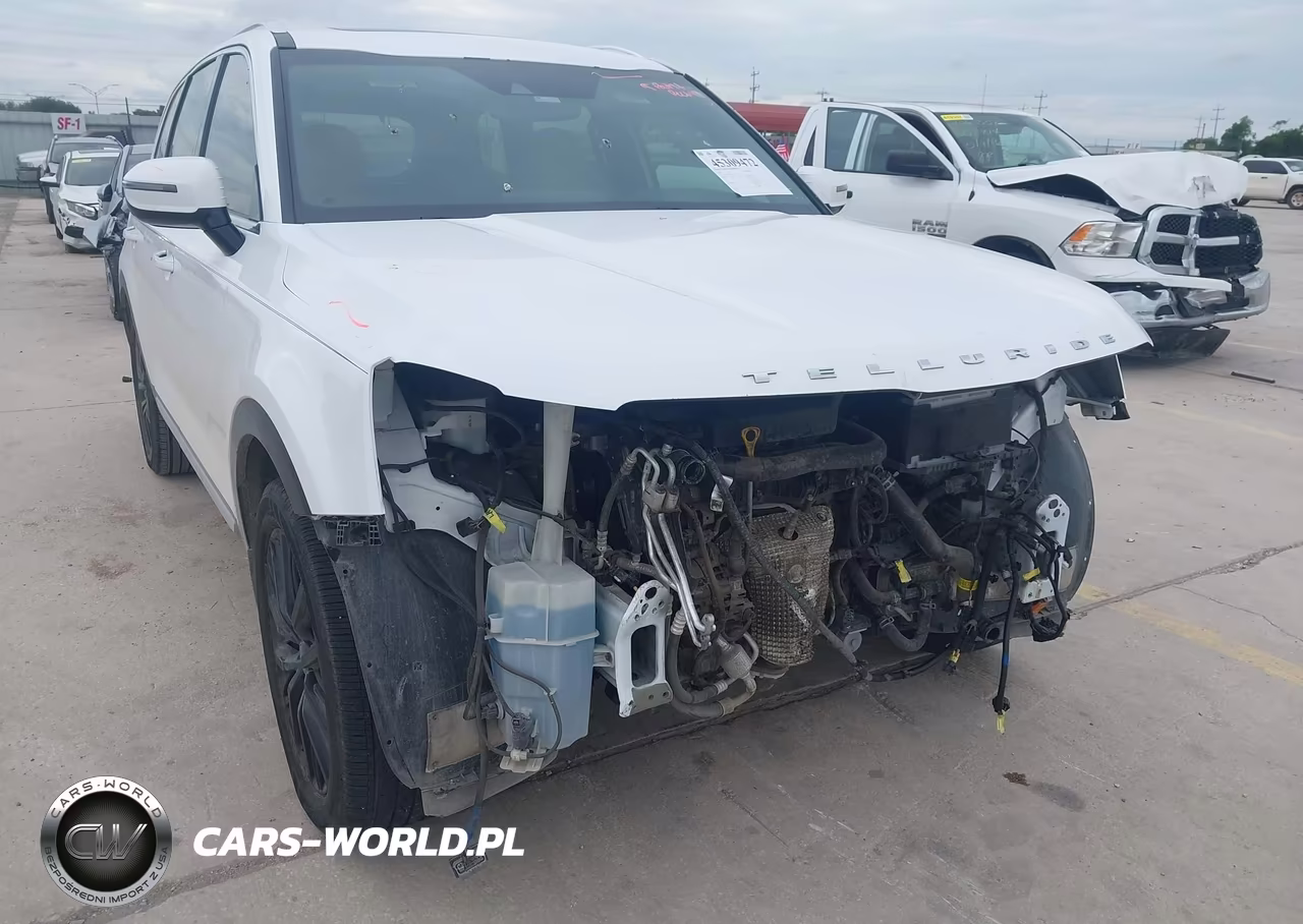 2020 Kia Telluride Sx VIN:5XYP54HC1LG042729 - 6