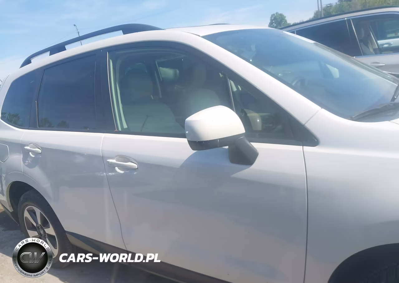 2018 Subaru Forester 2.5I Premium VIN:JF2SJAEC3JH534693 - 13