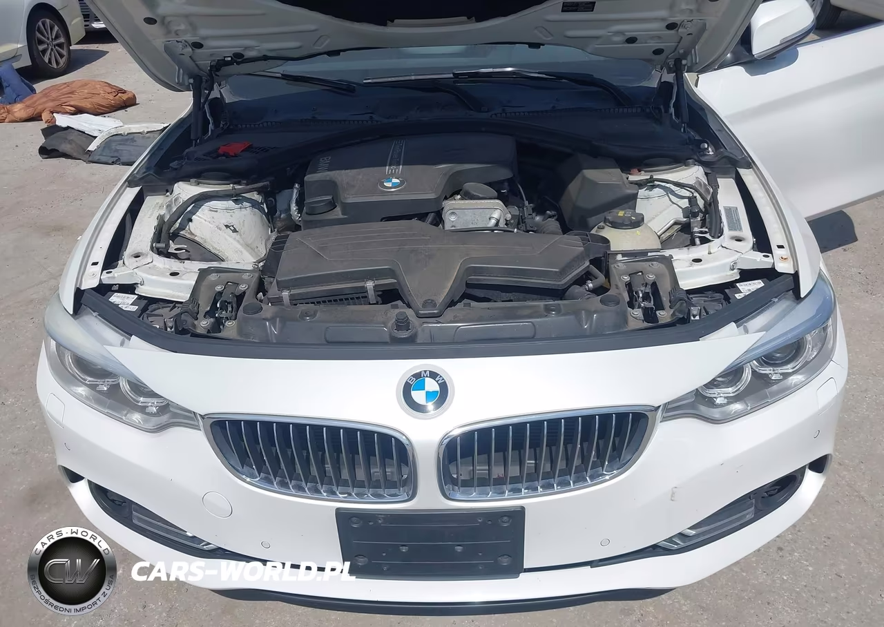 2015 BMW 428I xDrive VIN:WBA3N5C5XFK197871 - 10