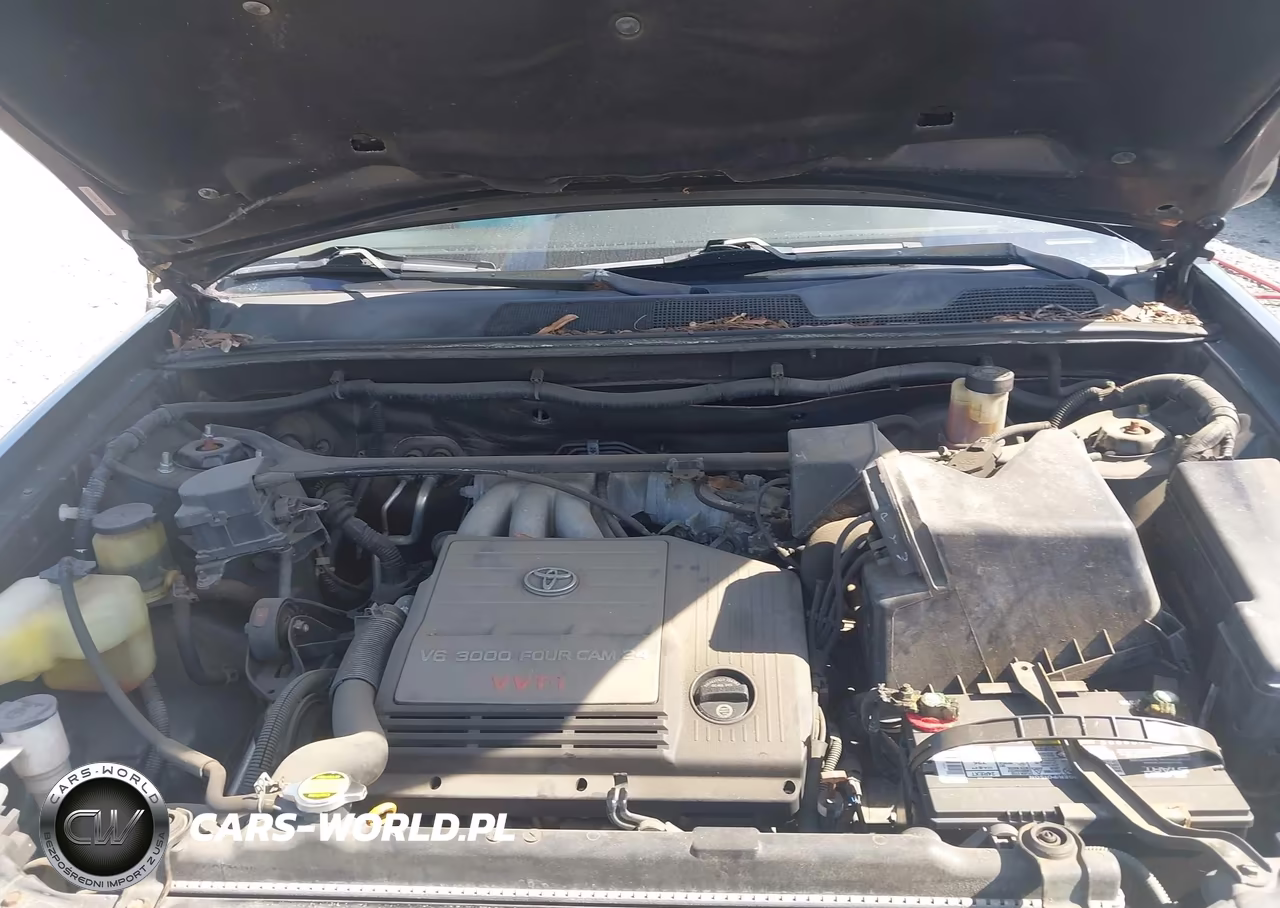 2002 Toyota Highlander V6 VIN:JTEGF21AX20069986 - 10