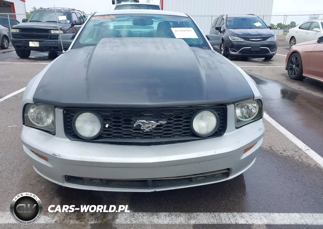 2009 Ford Mustang Gt-Gt Premium VIN:1ZVHT82H495107044 - 12