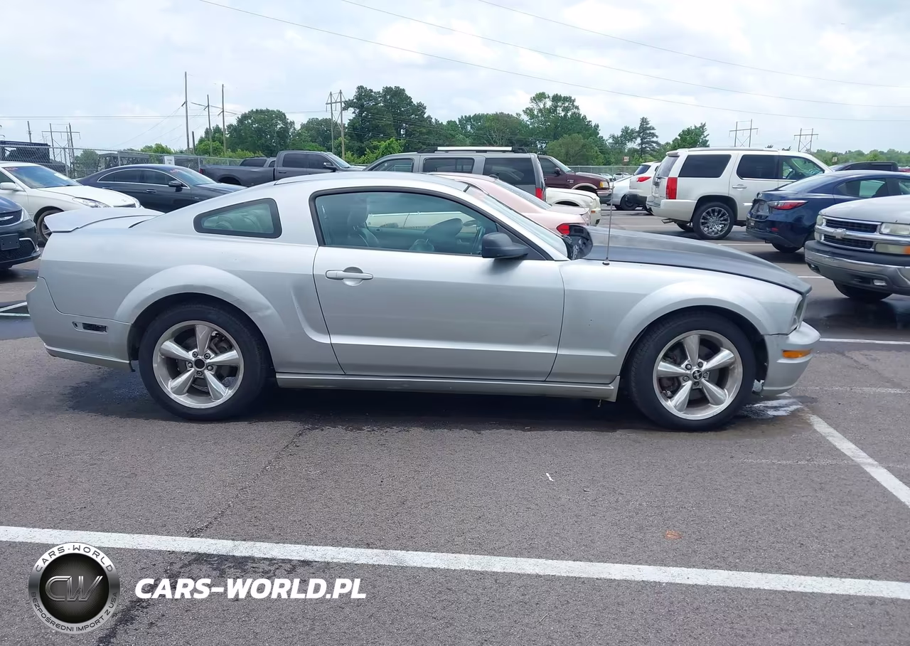 2009 Ford Mustang Gt-Gt Premium VIN:1ZVHT82H495107044 - 13