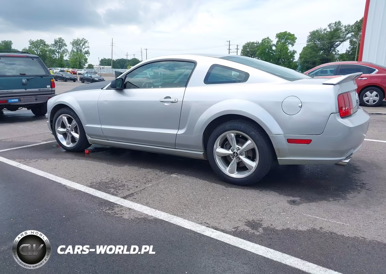 2009 Ford Mustang Gt-Gt Premium VIN:1ZVHT82H495107044 - 14