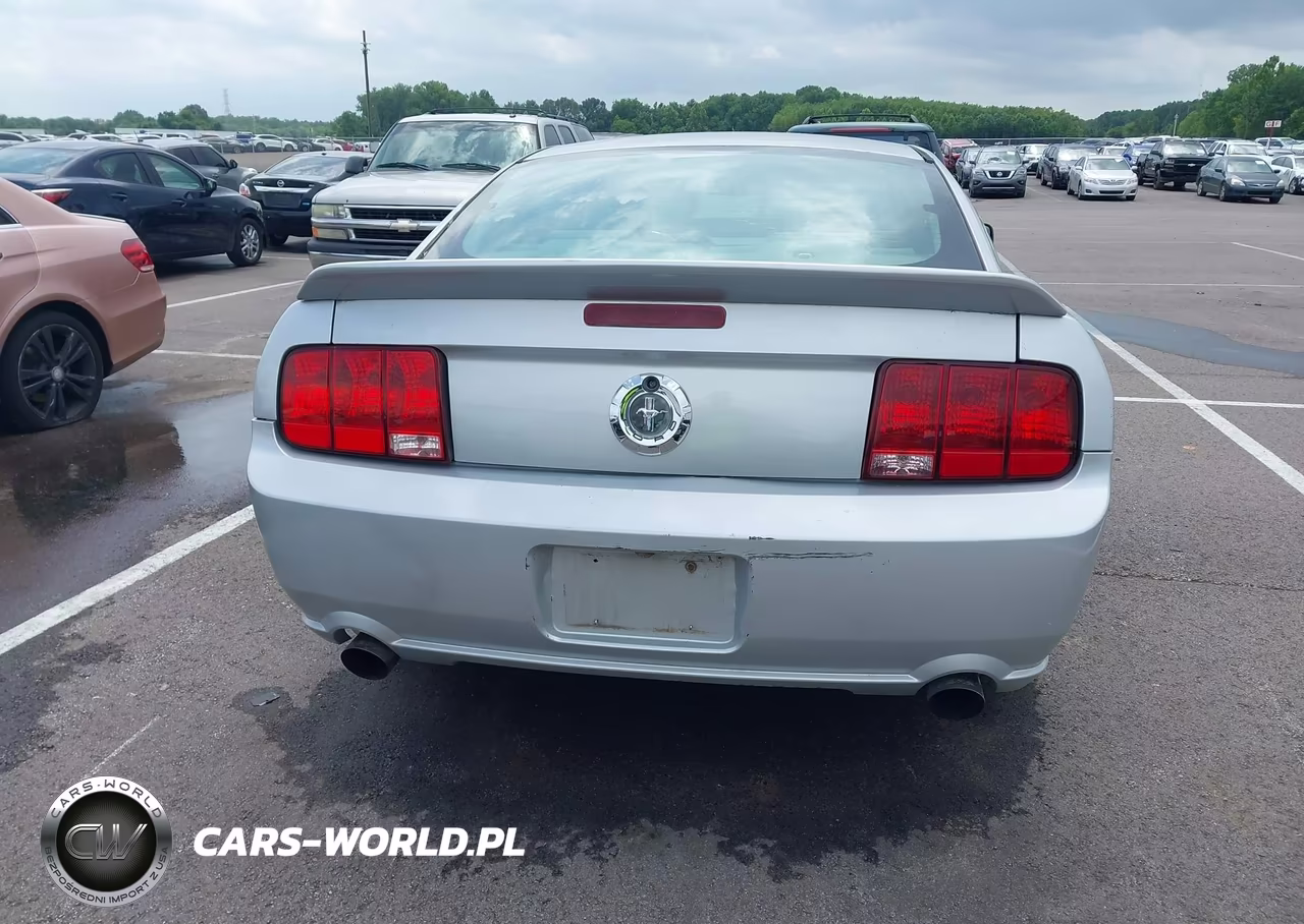 2009 Ford Mustang Gt-Gt Premium VIN:1ZVHT82H495107044 - 16