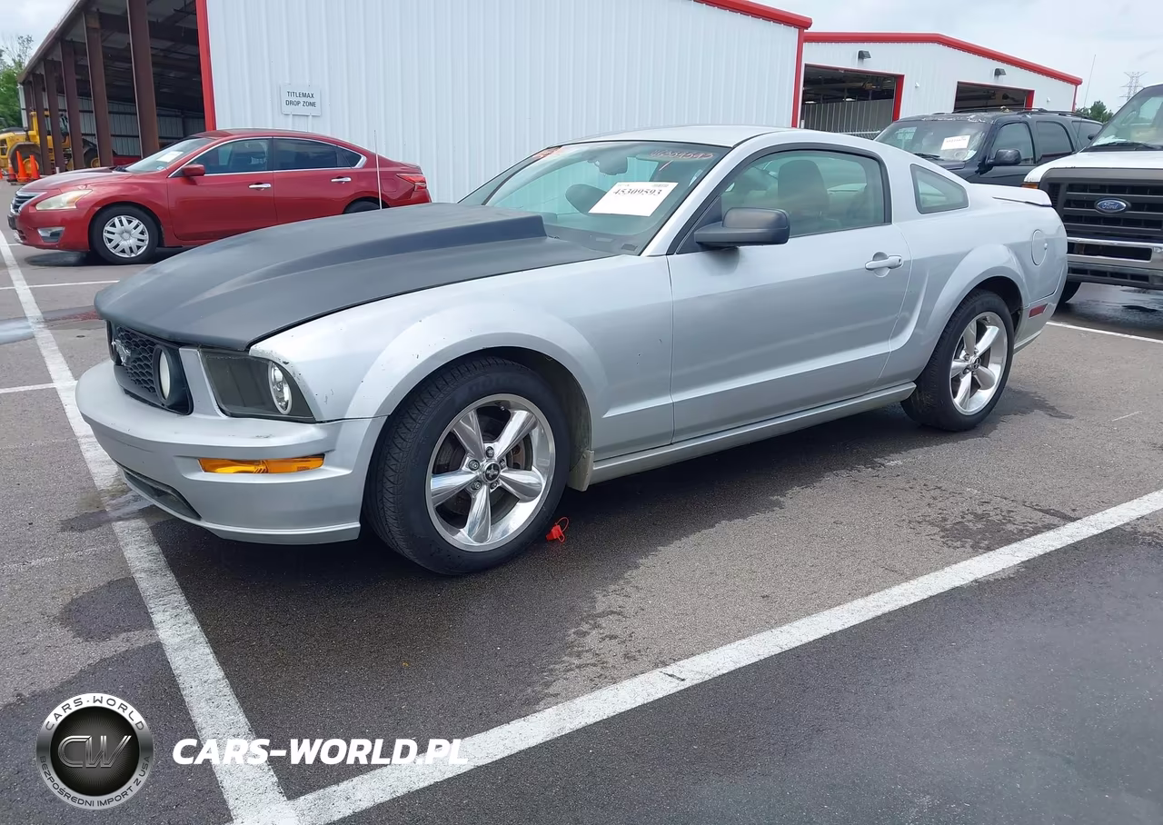 2009 Ford Mustang Gt-Gt Premium VIN:1ZVHT82H495107044 - 2