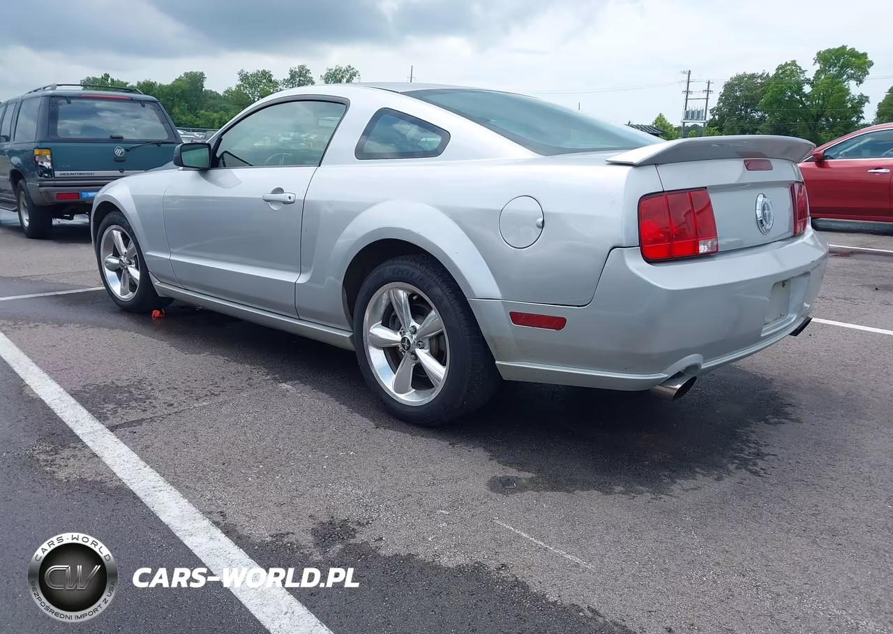 2009 Ford Mustang Gt-Gt Premium VIN:1ZVHT82H495107044 - 3