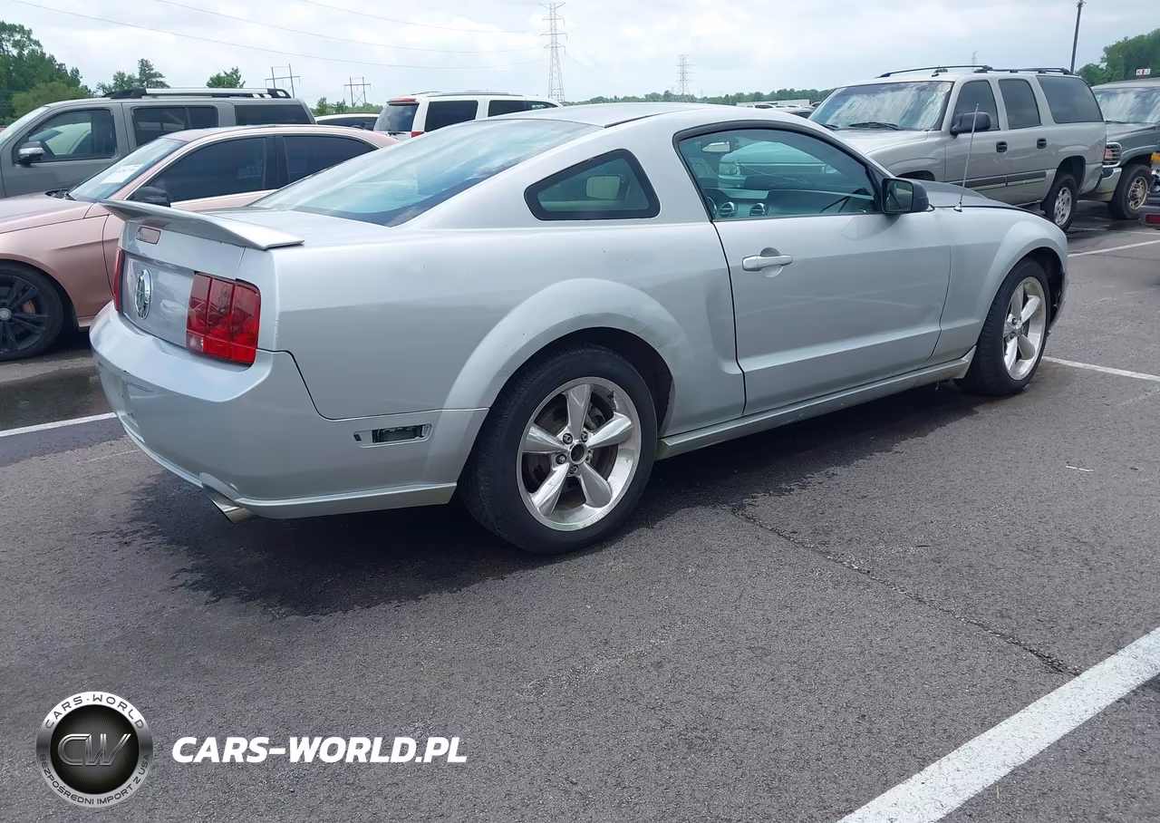 2009 Ford Mustang Gt-Gt Premium VIN:1ZVHT82H495107044 - 4