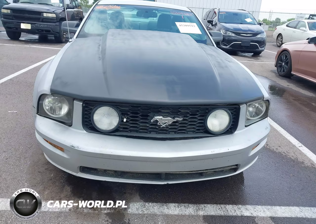 2009 Ford Mustang Gt-Gt Premium VIN:1ZVHT82H495107044 - 6