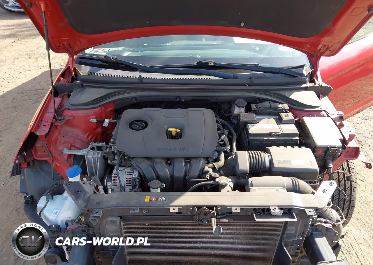 2019 Hyundai Elantra Sel VIN:5NPD84LF0KH480015 - 10