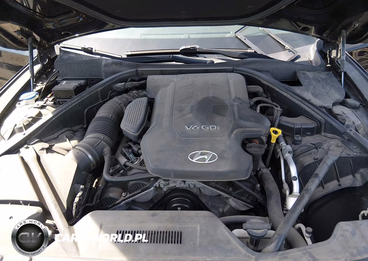 2016 Hyundai Genesis 3.8 VIN:KMHGN4JE5GU140755 - 10