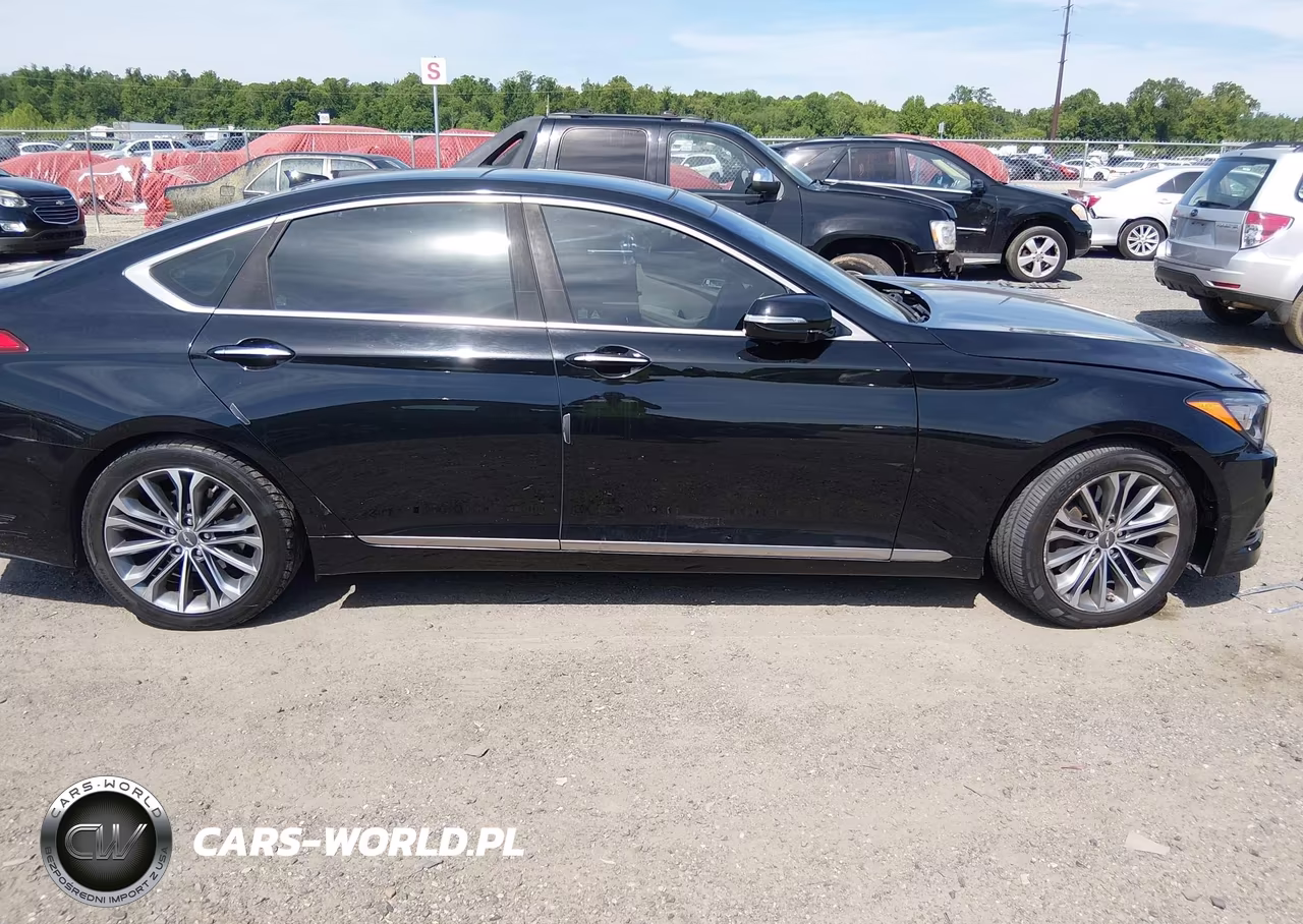 2016 Hyundai Genesis 3.8 VIN:KMHGN4JE5GU140755 - 13