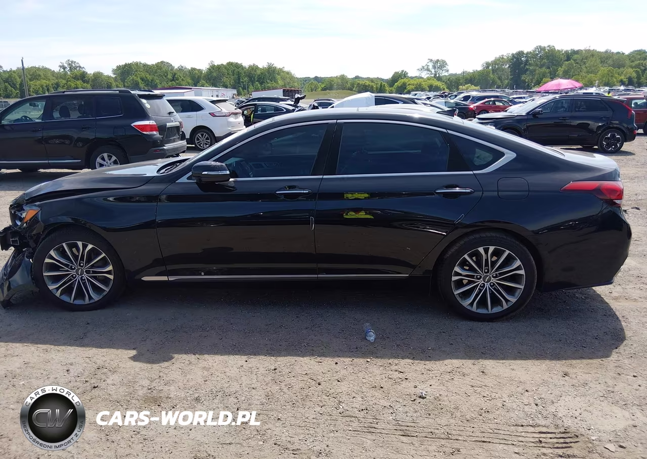 2016 Hyundai Genesis 3.8 VIN:KMHGN4JE5GU140755 - 14