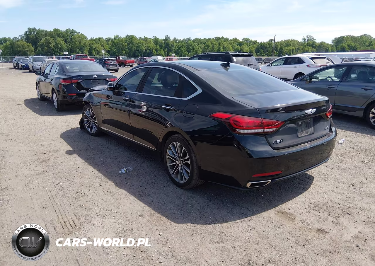 2016 Hyundai Genesis 3.8 VIN:KMHGN4JE5GU140755 - 3