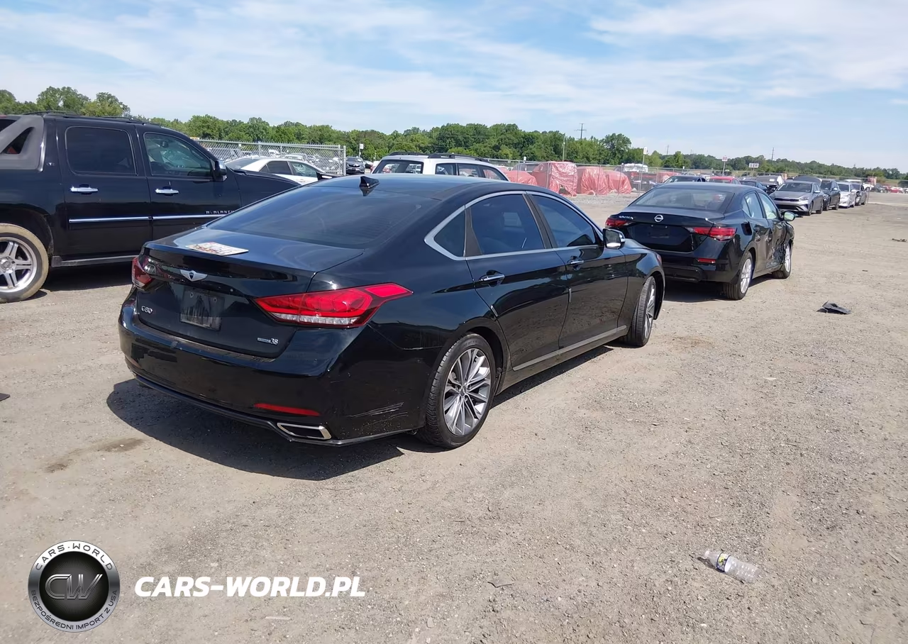 2016 Hyundai Genesis 3.8 VIN:KMHGN4JE5GU140755 - 4