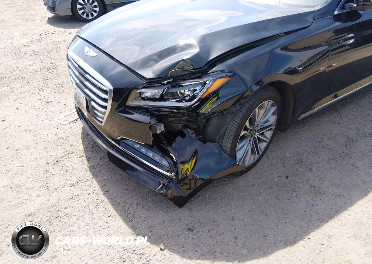 2016 Hyundai Genesis 3.8 VIN:KMHGN4JE5GU140755 - 6