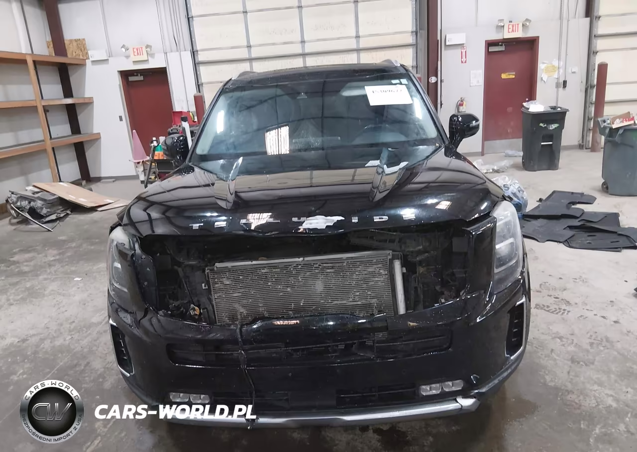 2020 Kia Telluride Sx VIN:5XYP54HC2LG030735 - 13