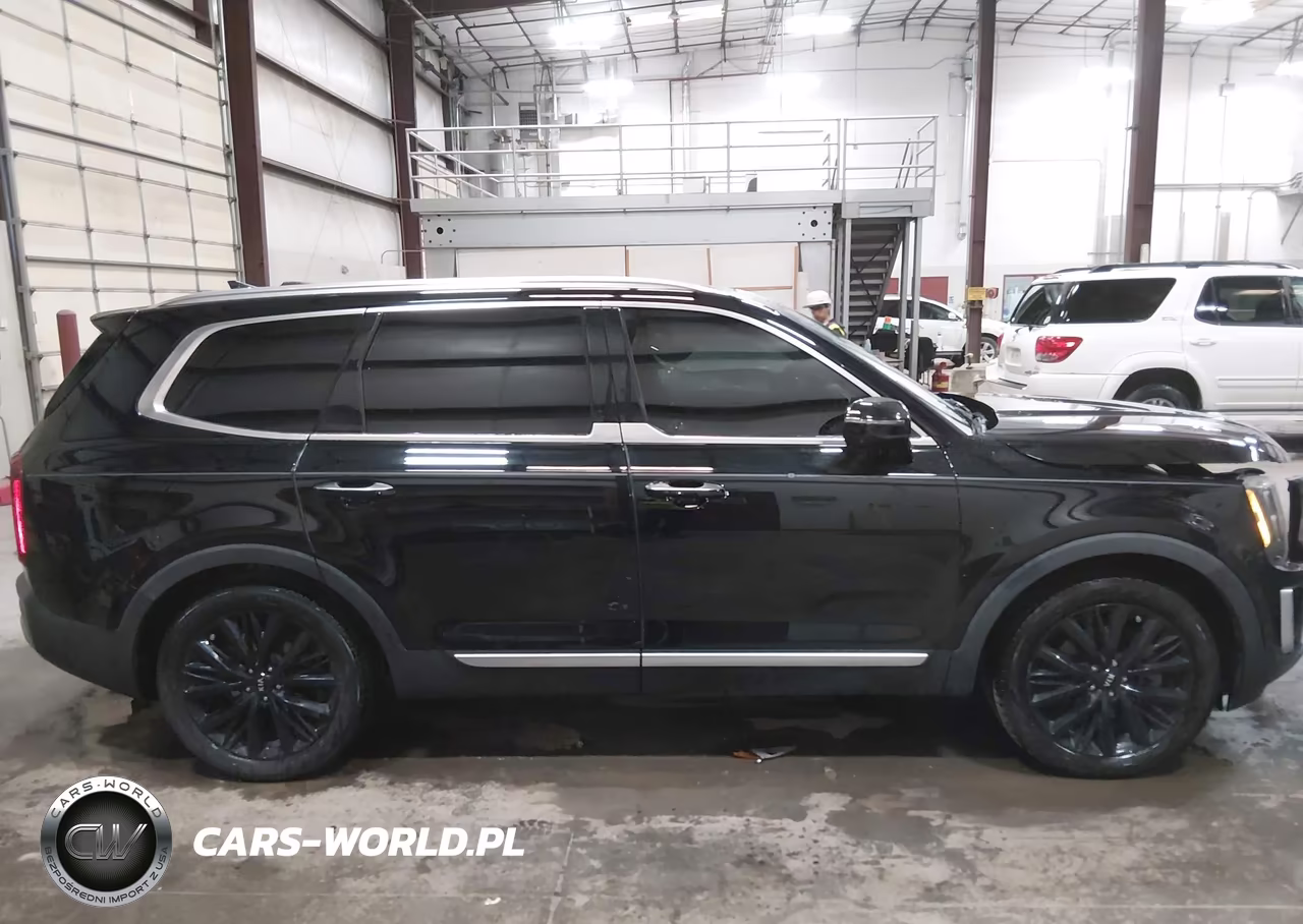 2020 Kia Telluride Sx VIN:5XYP54HC2LG030735 - 14
