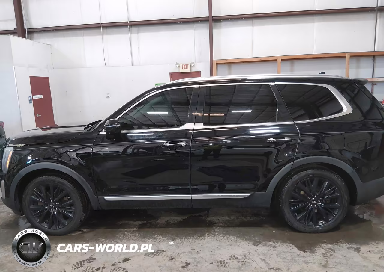 2020 Kia Telluride Sx VIN:5XYP54HC2LG030735 - 15