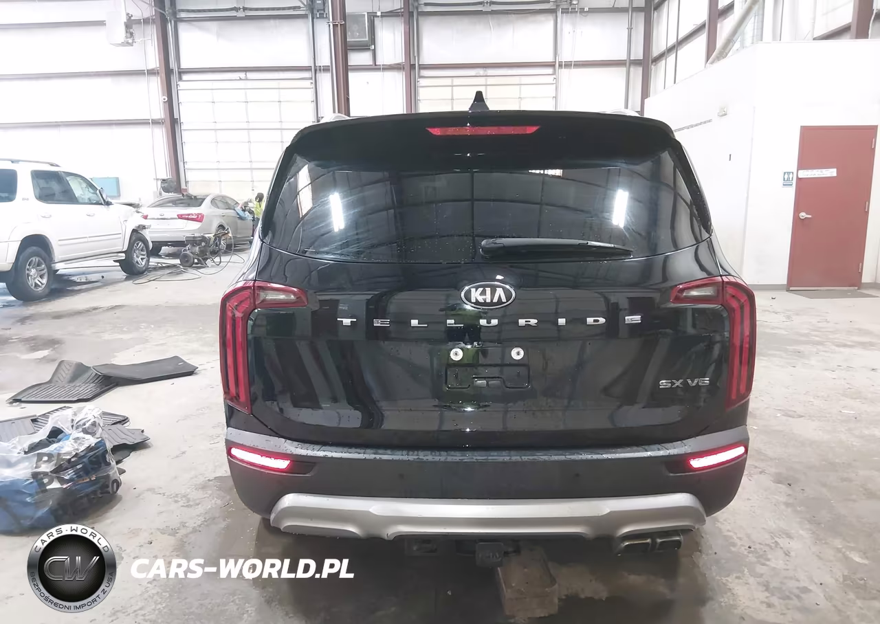 2020 Kia Telluride Sx VIN:5XYP54HC2LG030735 - 17