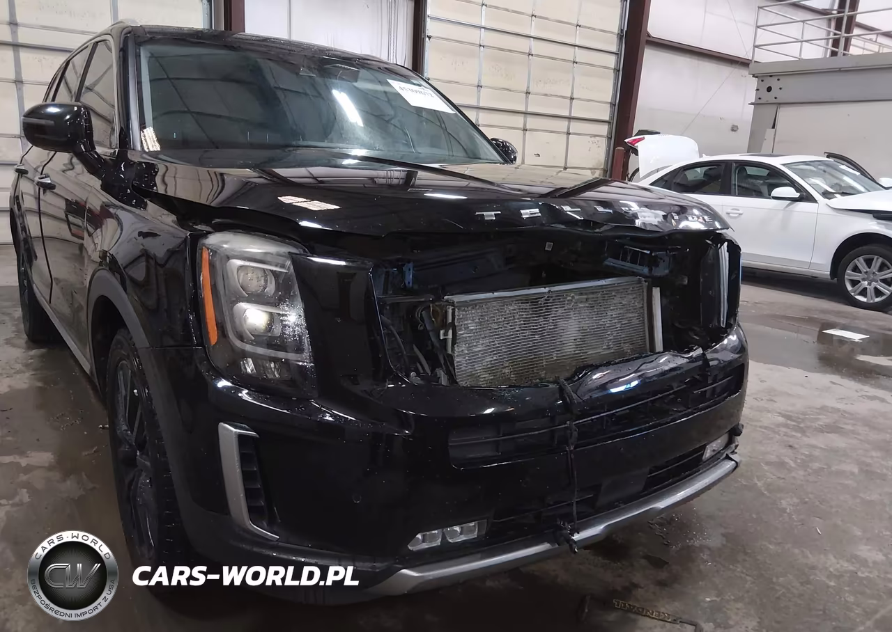 2020 Kia Telluride Sx VIN:5XYP54HC2LG030735 - 19