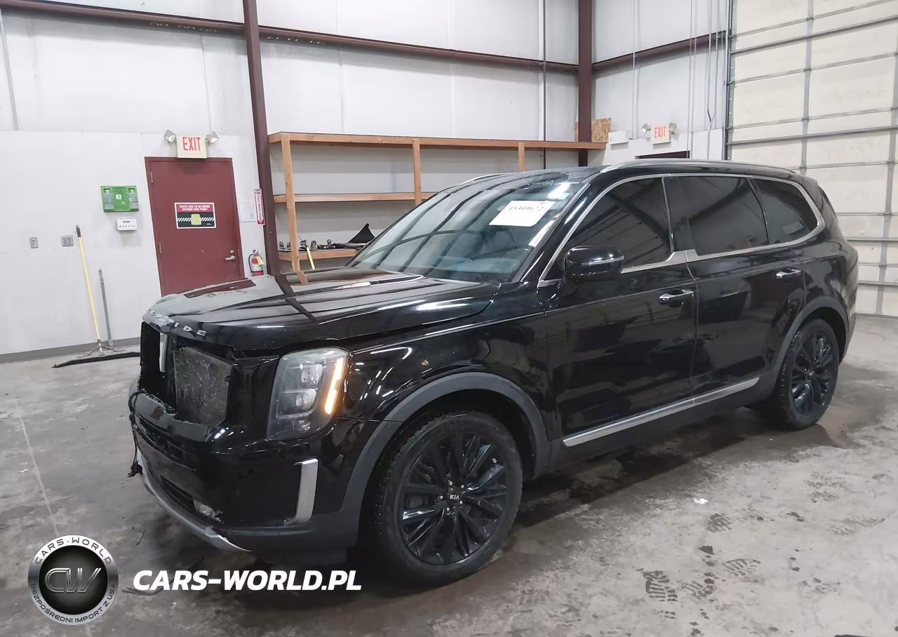 2020 Kia Telluride Sx VIN:5XYP54HC2LG030735 - 2