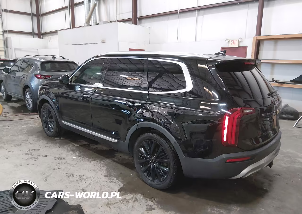 2020 Kia Telluride Sx VIN:5XYP54HC2LG030735 - 3
