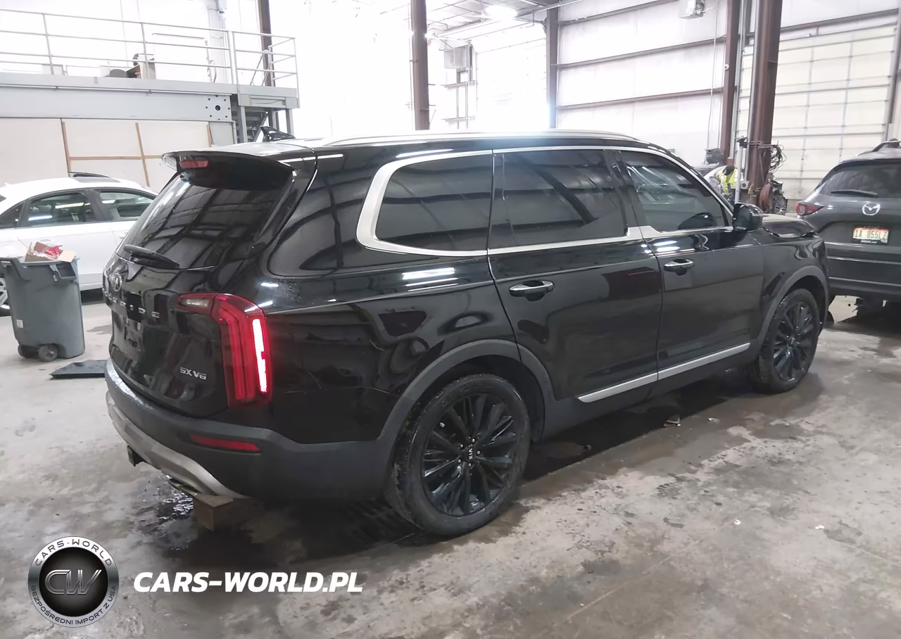 2020 Kia Telluride Sx VIN:5XYP54HC2LG030735 - 4