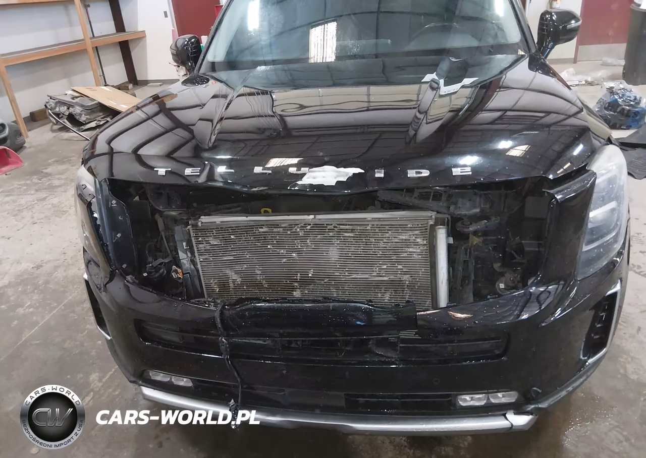 2020 Kia Telluride Sx VIN:5XYP54HC2LG030735 - 6