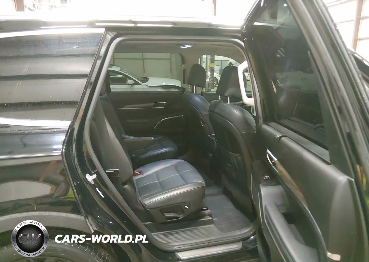2020 Kia Telluride Sx VIN:5XYP54HC2LG030735 - 8