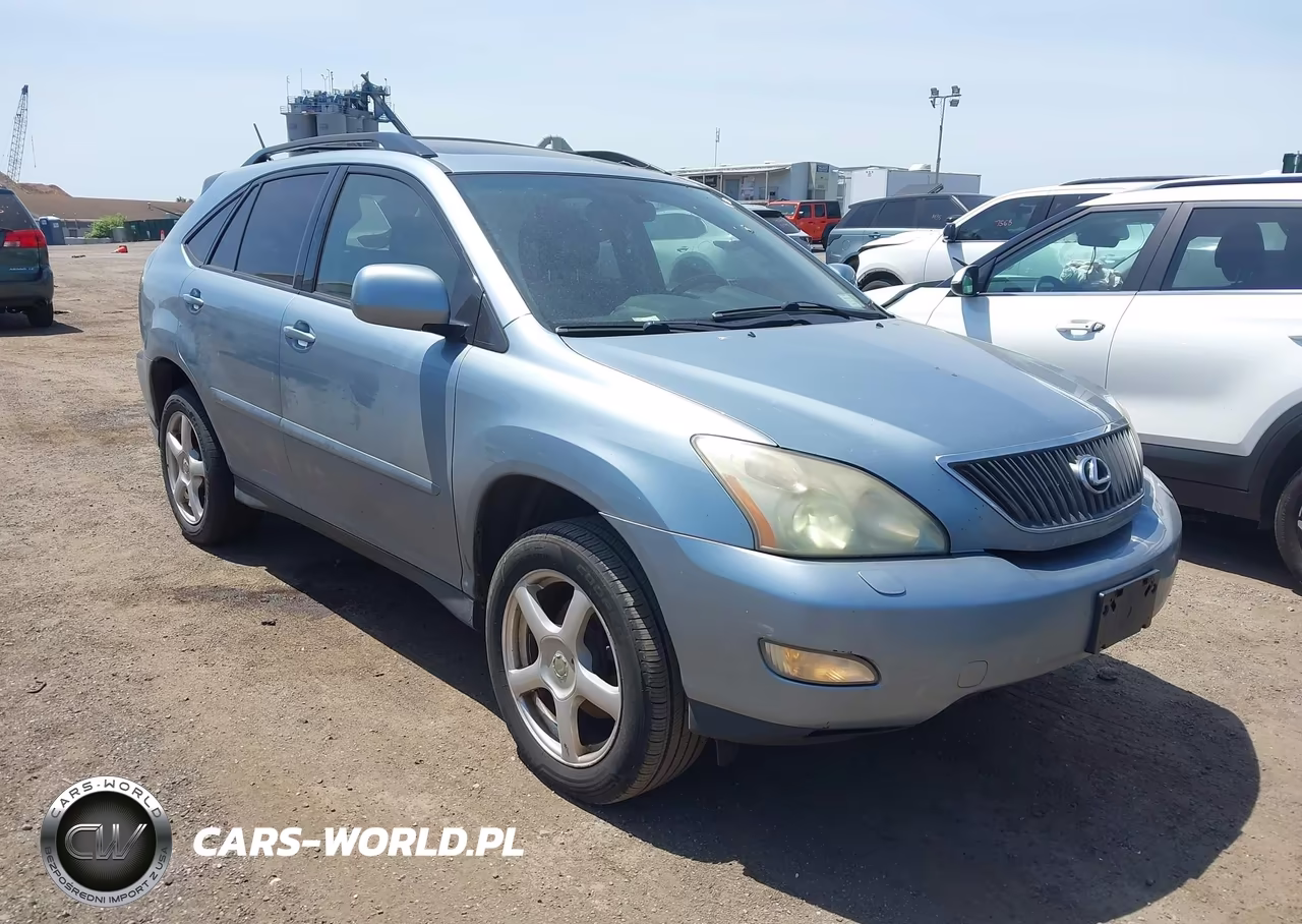 2004 Lexus Rx 330 VIN:JTJHA31U740008389 - 6