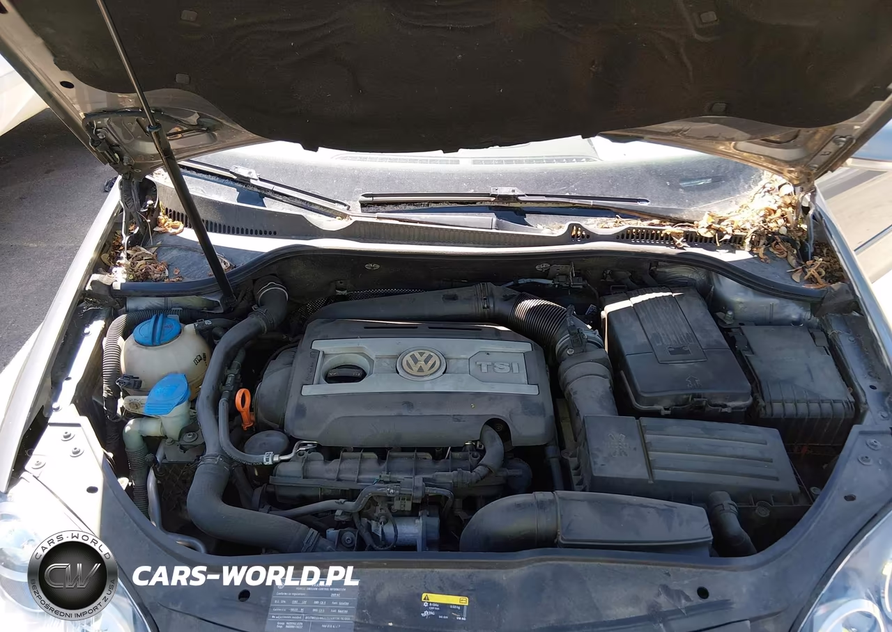 2009 Volkswagen Gti VIN:WVWED71KX9W114813 - 10